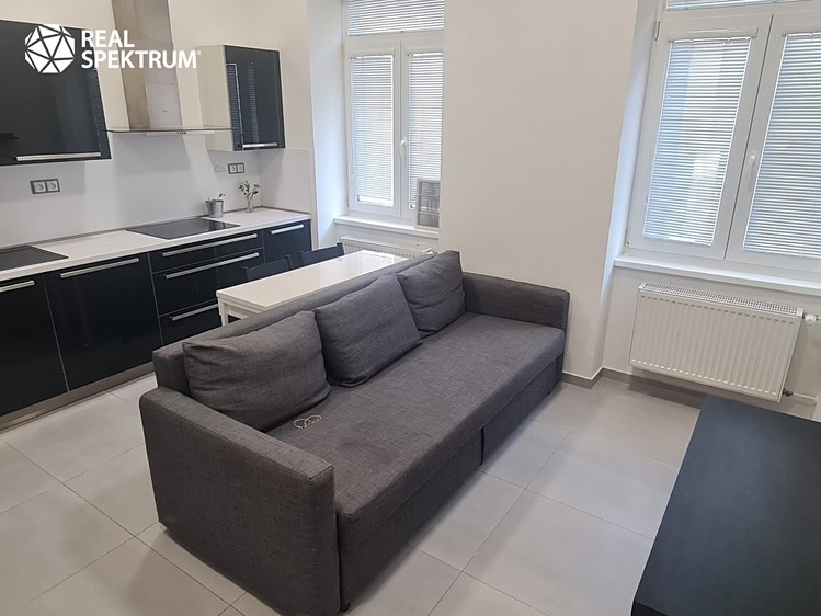 Pronájem bytu 2+kk 46 m² - foto 1