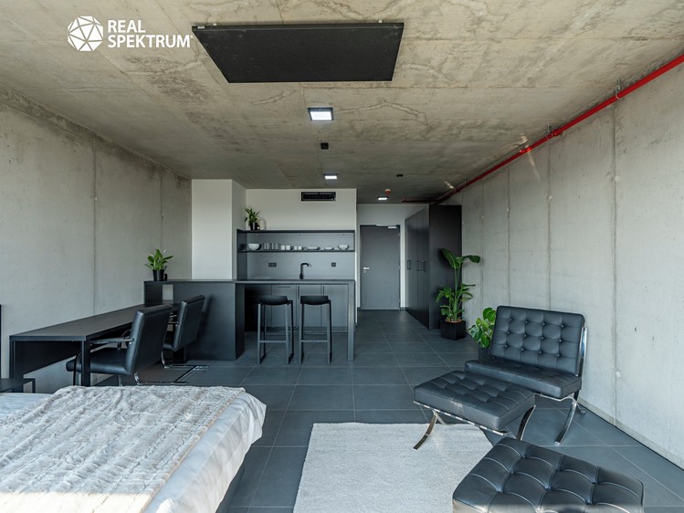 Pronájem bytu 1+kk 35 m² (Loft) - foto 4