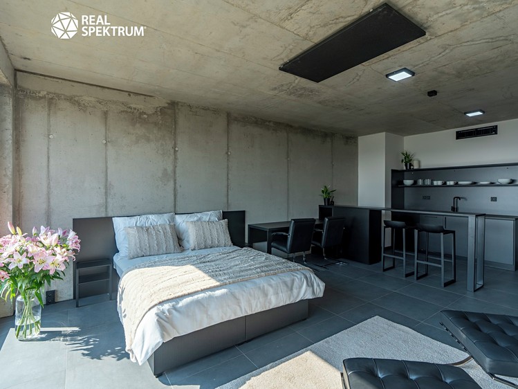 Pronájem bytu 1+kk 35 m² (Loft) - foto 2