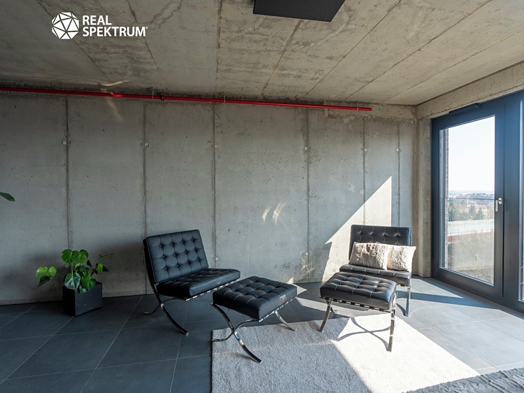 Pronájem bytu 1+kk 35 m² (Loft) - foto 3