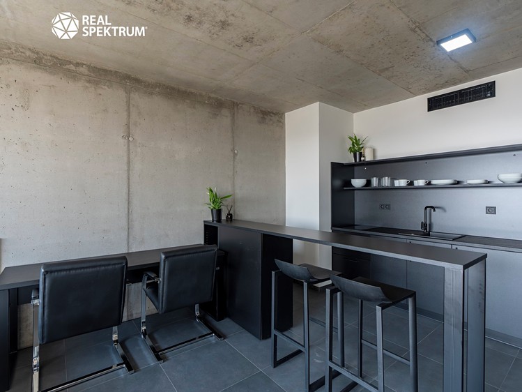 Pronájem bytu 1+kk 35 m² (Loft) - foto 8