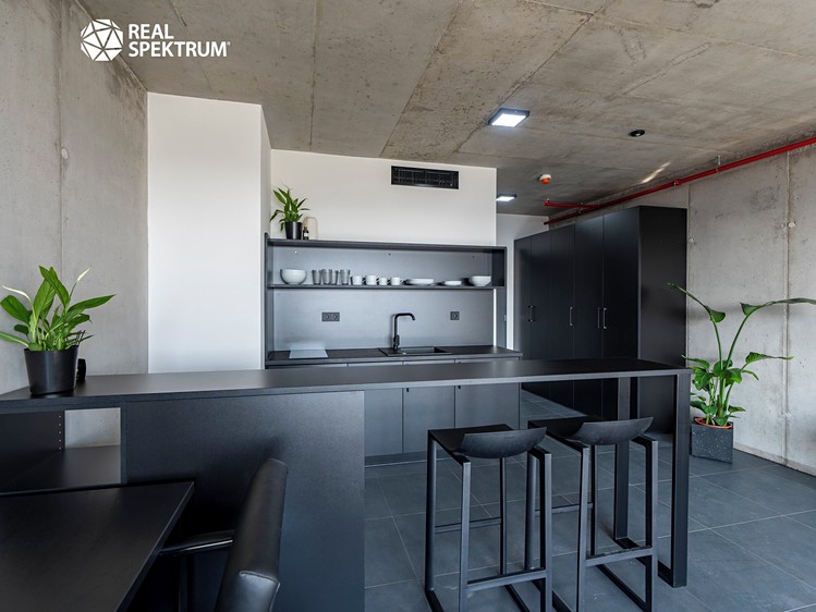 Pronájem bytu 1+kk 35 m² (Loft) - foto 6