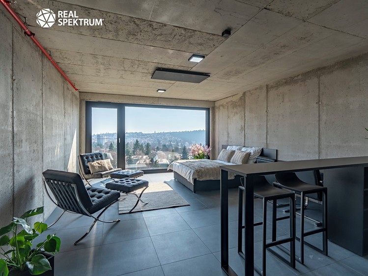 Pronájem bytu 1+kk 35 m² (Loft) - foto 5
