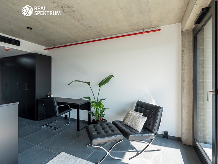 Pronájem bytu 1+kk 31 m² (Loft) - foto 4