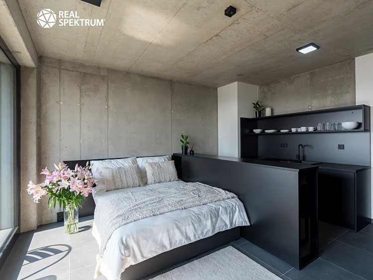 Pronájem bytu 1+kk 31 m² (Loft) - foto 1