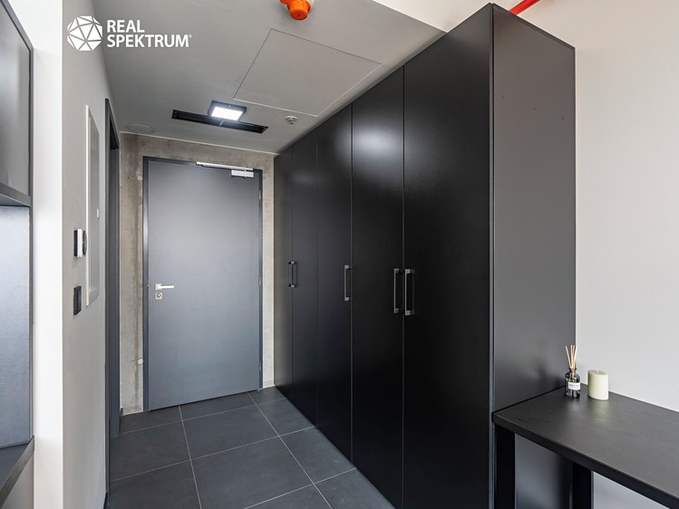 Pronájem bytu 1+kk 31 m² (Loft) - foto 6