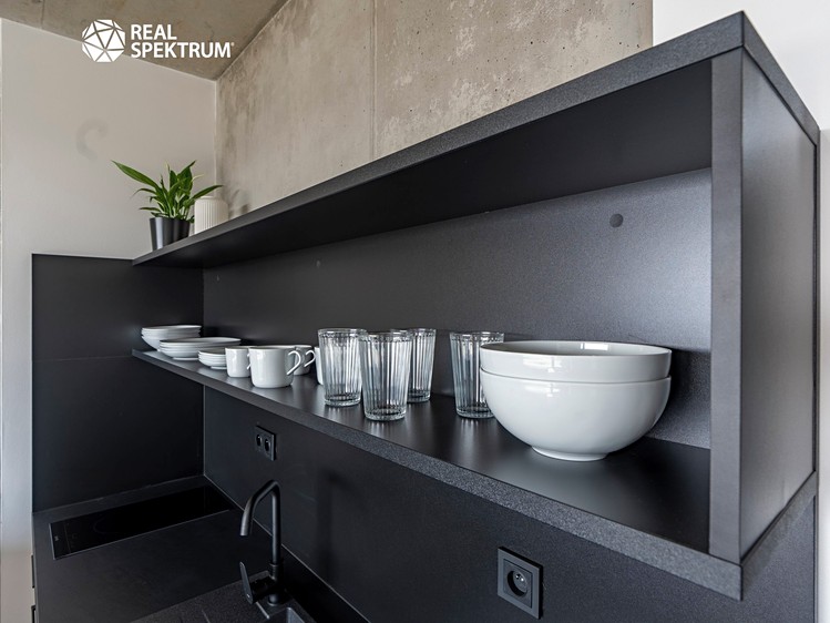Pronájem bytu 1+kk 31 m² (Loft) - foto 8