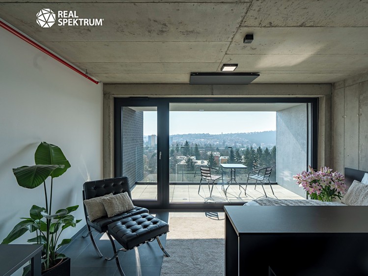 Pronájem bytu 1+kk 31 m² (Loft) - foto 5