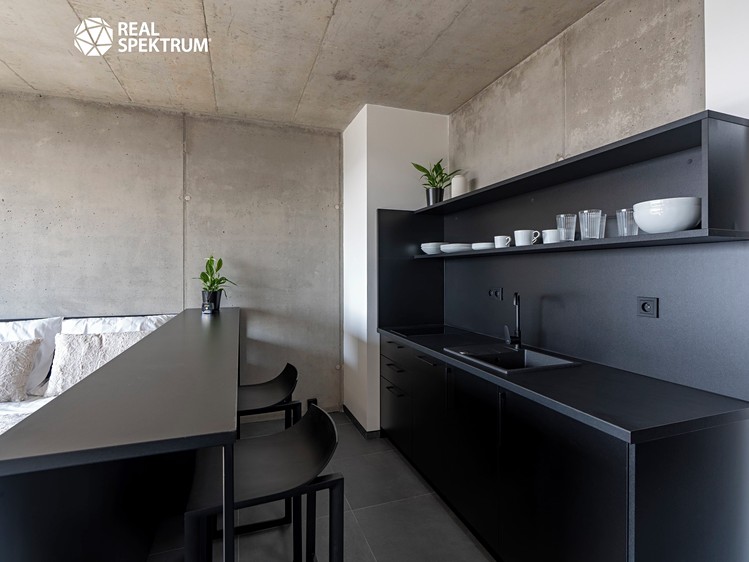 Pronájem bytu 1+kk 31 m² (Loft) - foto 7