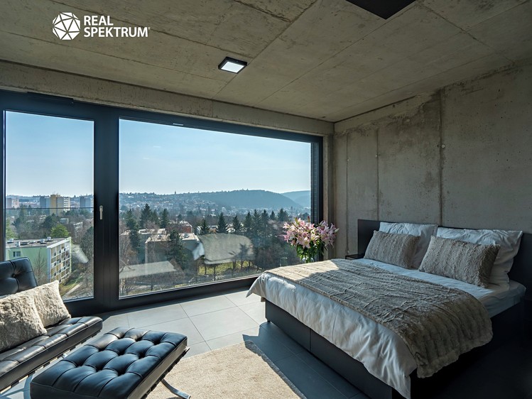 Pronájem bytu 1+kk 44 m² (Loft) - foto 1