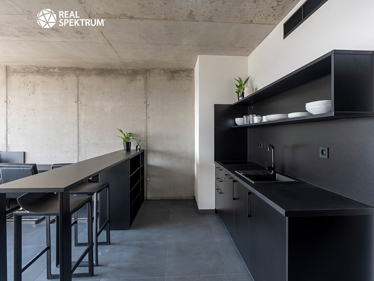 Pronájem bytu 1+kk 44 m² (Loft) - foto 7