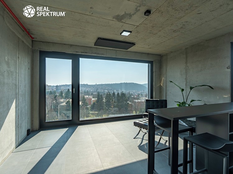 Pronájem bytu 2+kk 47 m² (Loft) - foto 4