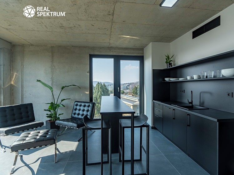 Pronájem bytu 2+kk 47 m² (Loft) - foto 3