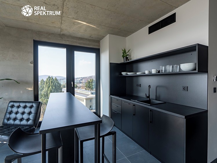 Pronájem bytu 2+kk 47 m² (Loft) - foto 7
