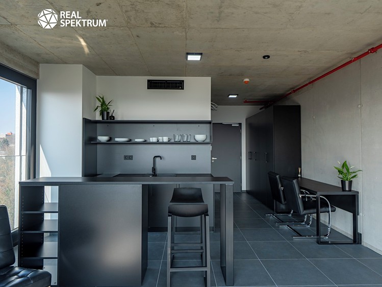 Pronájem bytu 2+kk 47 m² (Loft) - foto 6