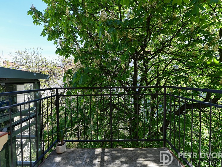 Pronájem bytu 2+kk 46 m² - foto 4