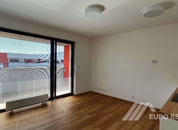 Pronájem bytu 1+kk 38 m² - foto 4
