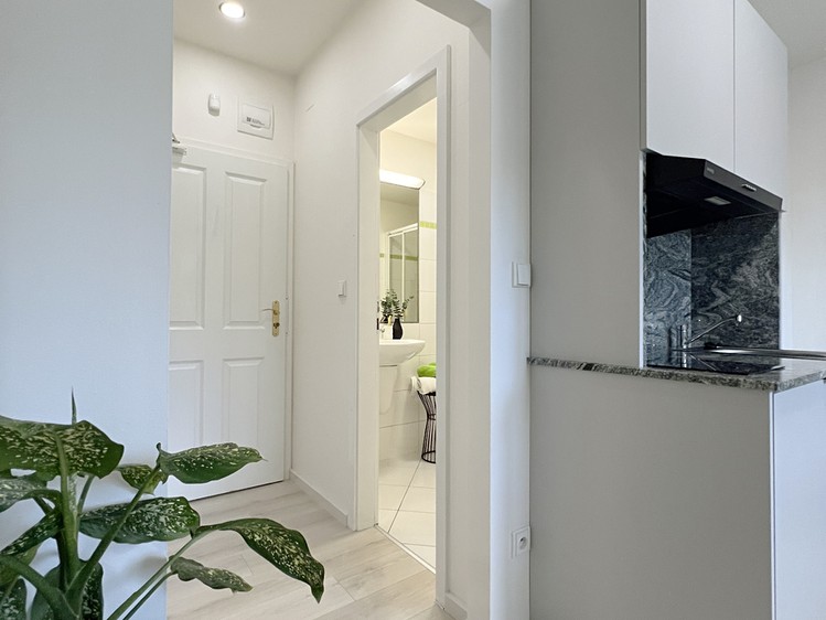 Pronájem bytu 1+kk 18 m² - foto 4