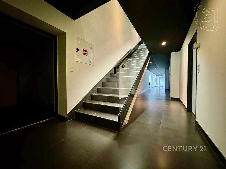 Pronájem bytu 3+kk 74 m² - foto 3
