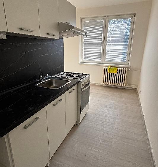 Pronájem bytu 1+1 38 m² (Jednopodlažní) - foto 2