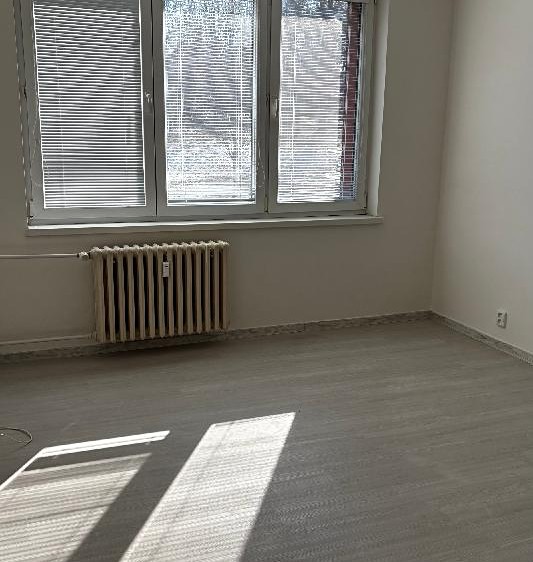 Pronájem bytu 1+1 38 m² (Jednopodlažní) - foto 5