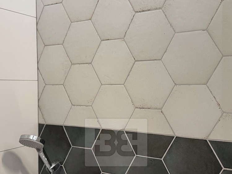 Pronájem bytu 3+kk 72 m² - foto 5