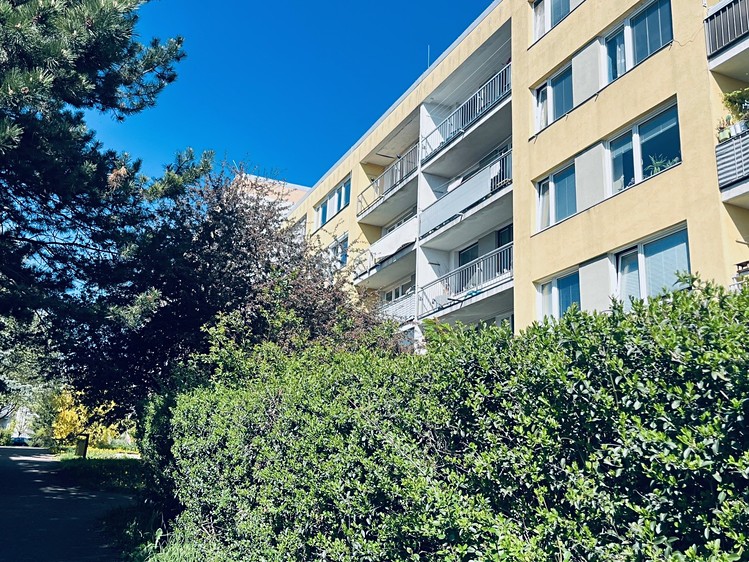 Pronájem bytu 3+1 84 m² (Jednopodlažní) - foto 1