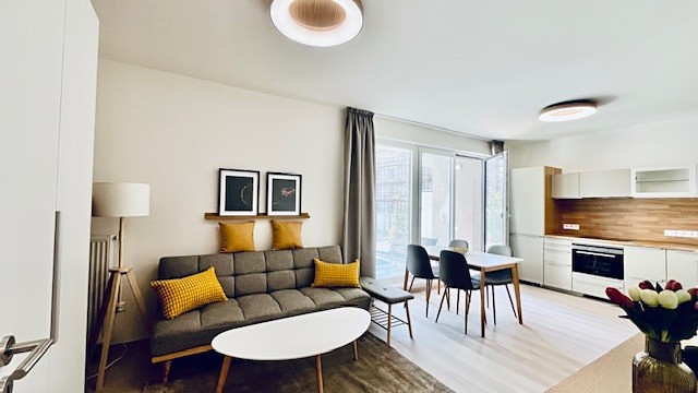 Pronájem bytu 1+kk 41 m² (Jednopodlažní) - foto 4