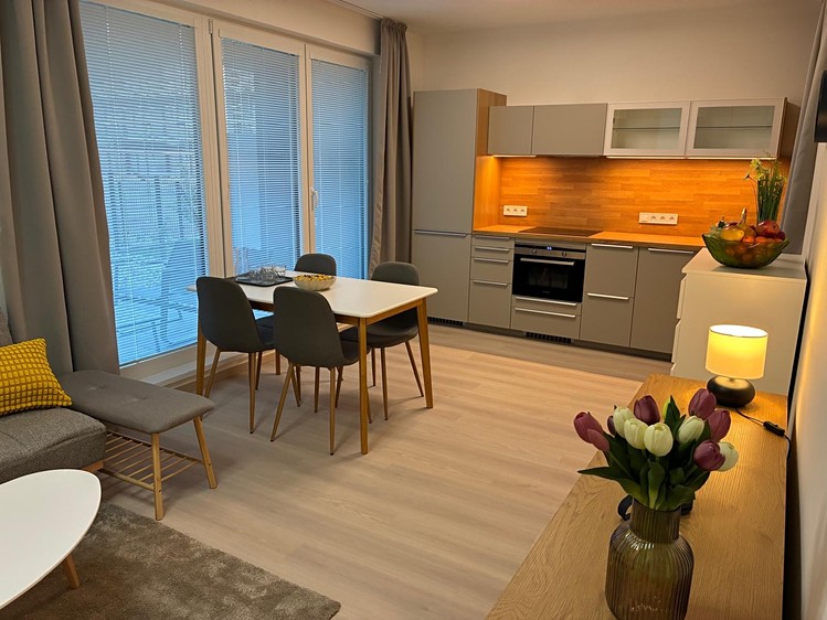 Pronájem bytu 1+kk 41 m² (Jednopodlažní) - foto 5