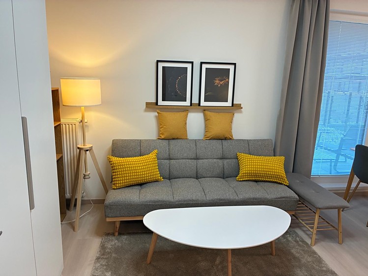 Pronájem bytu 1+kk 41 m² (Jednopodlažní) - foto 7