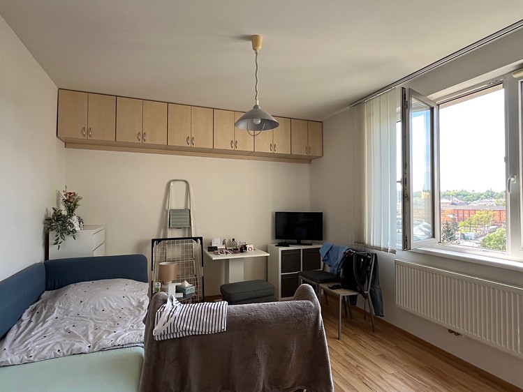 Pronájem bytu 1+kk 24 m² (Jednopodlažní) - foto 7