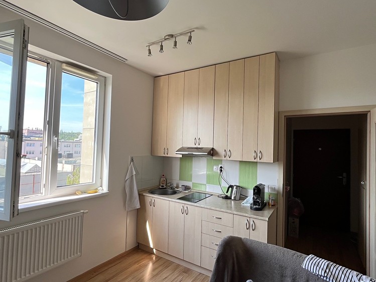 Pronájem bytu 1+kk 24 m² (Jednopodlažní) - foto 6