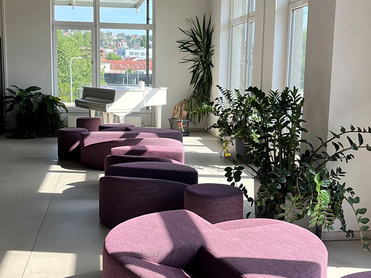 Pronájem bytu 1+kk 24 m² (Jednopodlažní) - foto 5