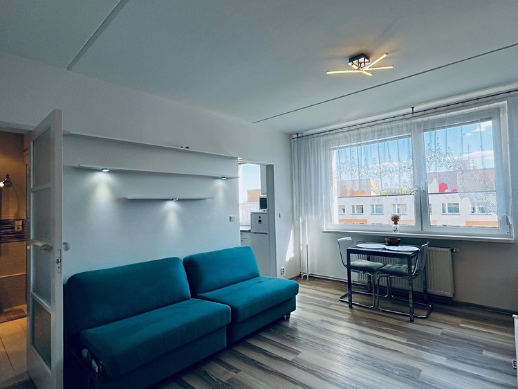 Pronájem bytu 1+1 33 m² (Jednopodlažní) - foto 4