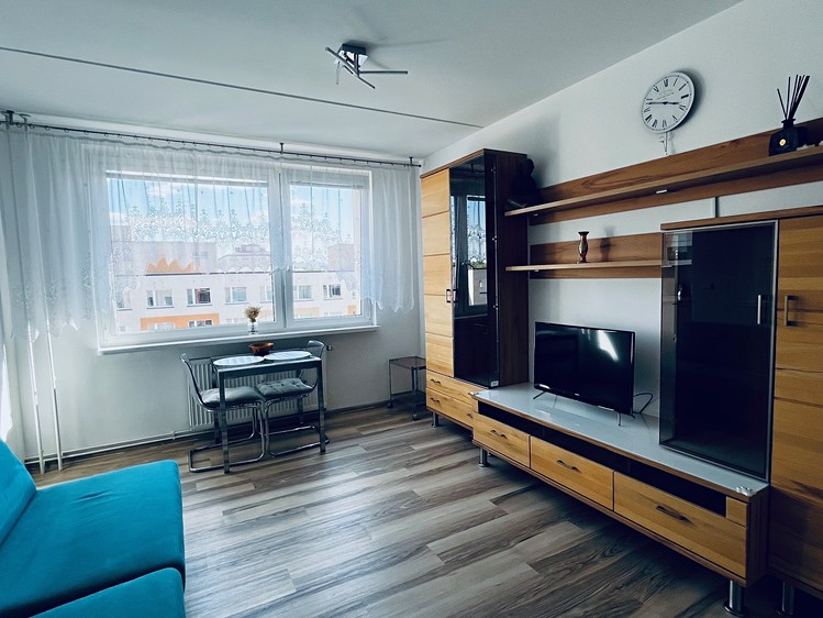 Pronájem bytu 1+1 33 m² (Jednopodlažní) - foto 3