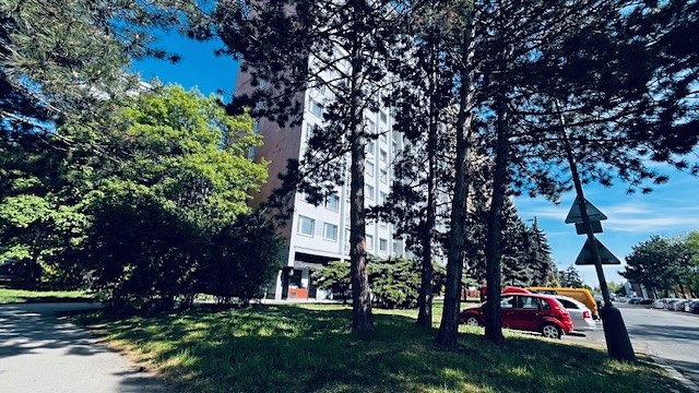 Pronájem bytu 2+kk 48 m² (Jednopodlažní) - foto 5
