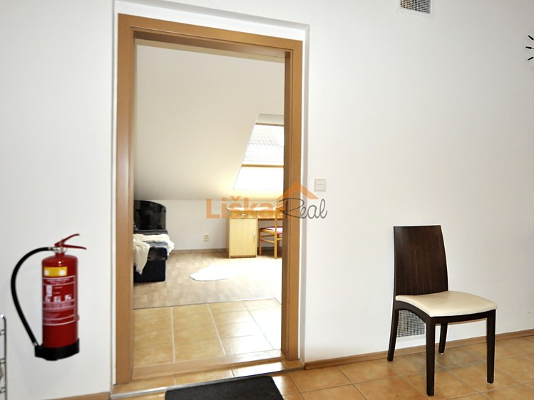 Pronájem bytu 1+kk 28 m² (Podkrovní) - foto 8
