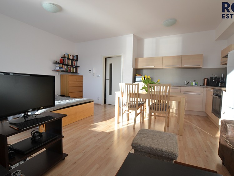 Pronájem bytu 1+kk 42 m² (Jednopodlažní) - foto 8