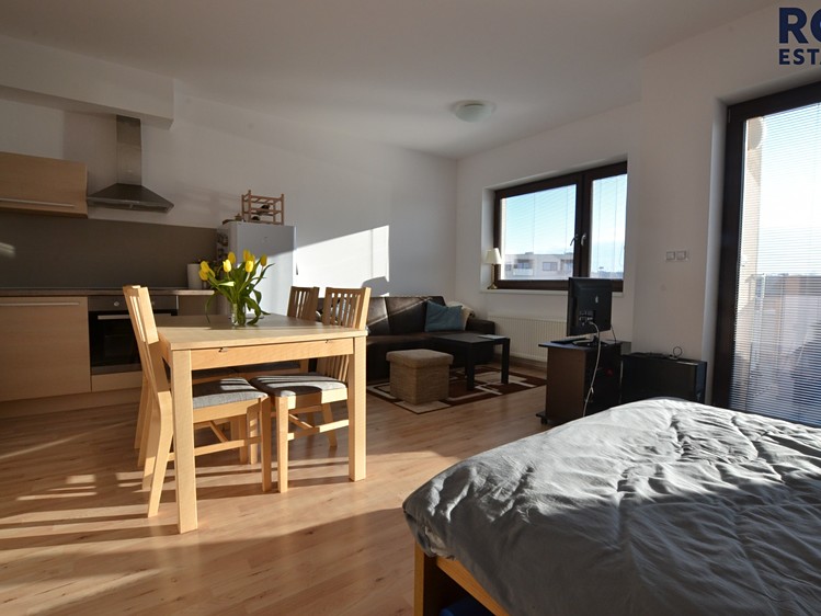 Pronájem bytu 1+kk 42 m² (Jednopodlažní) - foto 7