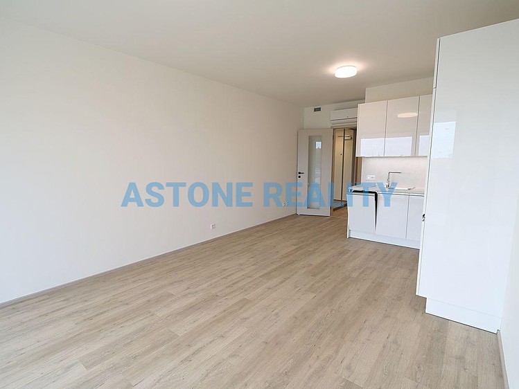 Pronájem bytu 1+kk 43 m² - foto 8