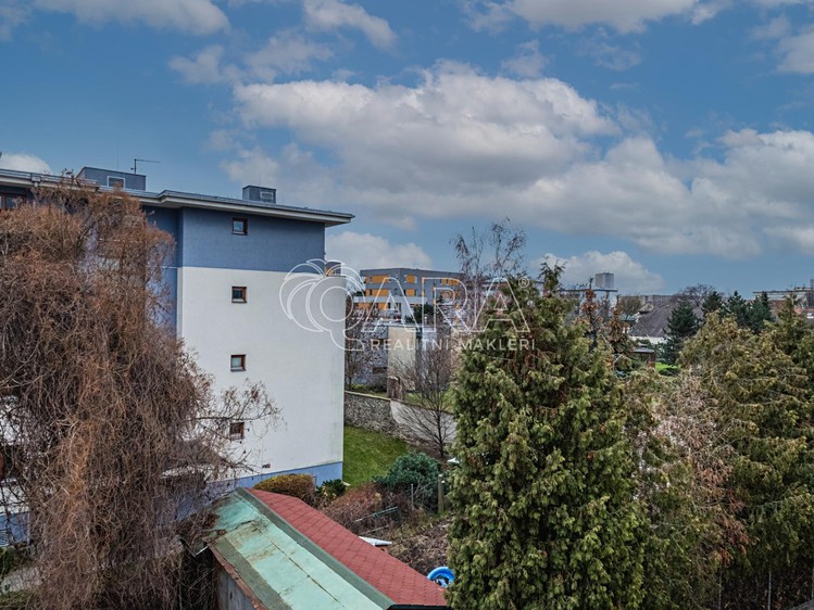 Pronájem bytu 1+kk 27 m² (Jednopodlažní) - foto 7