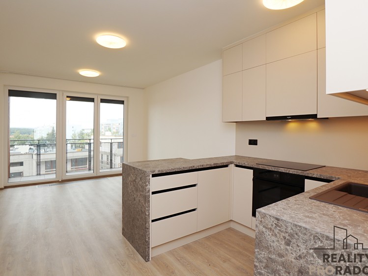 Pronájem bytu 1+kk 38 m² - foto 1