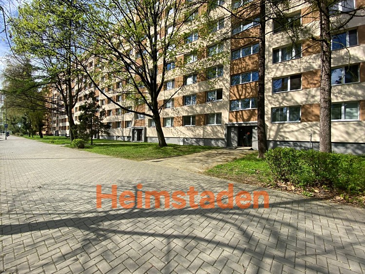 Pronájem bytu 1+kk 35 m² - foto 5