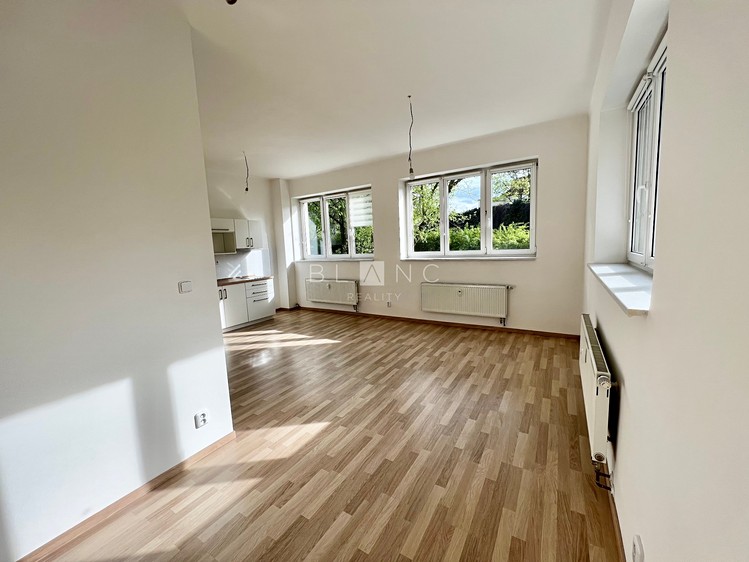 Pronájem bytu 1+kk 35 m² (Jednopodlažní) - foto 4