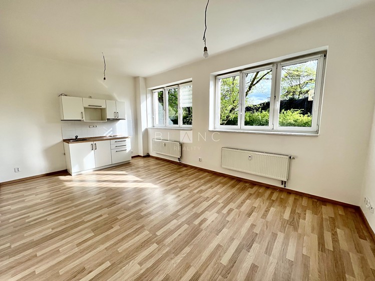 Pronájem bytu 1+kk 35 m² (Jednopodlažní) - foto 1
