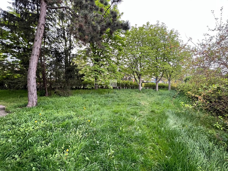 Pronájem bytu 1+kk 35 m² (Jednopodlažní) - foto 7