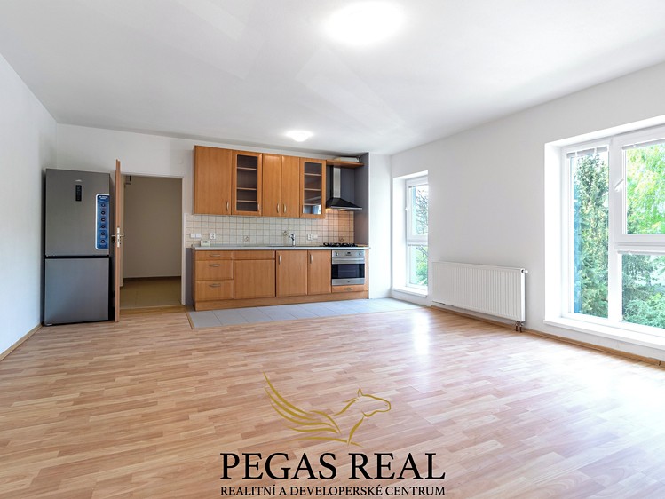 Pronájem bytu 2+kk 57 m² - foto 1