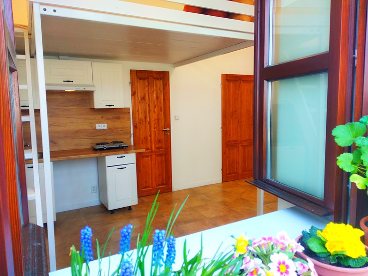 Pronájem bytu 1+kk 24 m² (Jednopodlažní) - foto 3