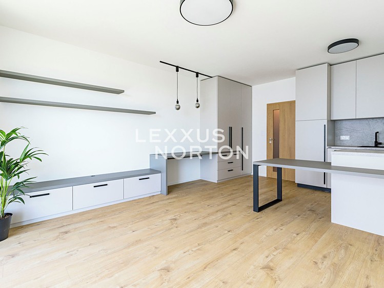 Pronájem bytu 1+kk 39 m² - foto 4