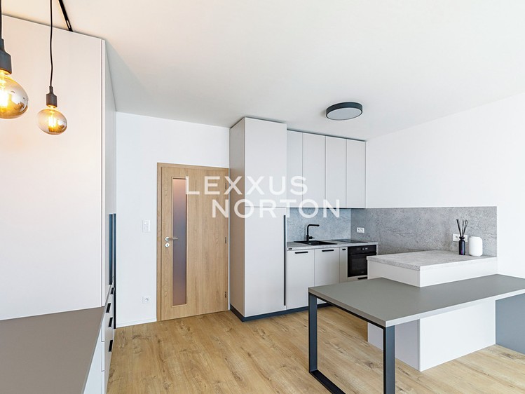 Pronájem bytu 1+kk 39 m² - foto 5